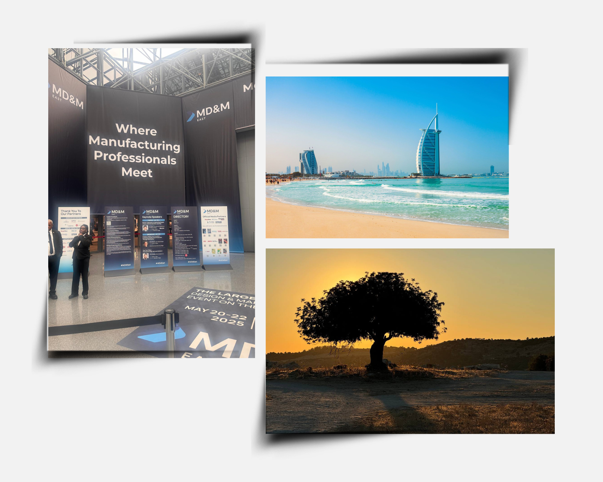 global market images